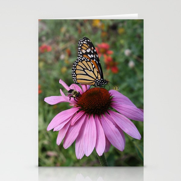 Monarch and bee share a coneflower Stationery Cards