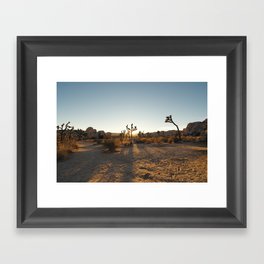 Joshua Tree Sun glow Framed Art Print