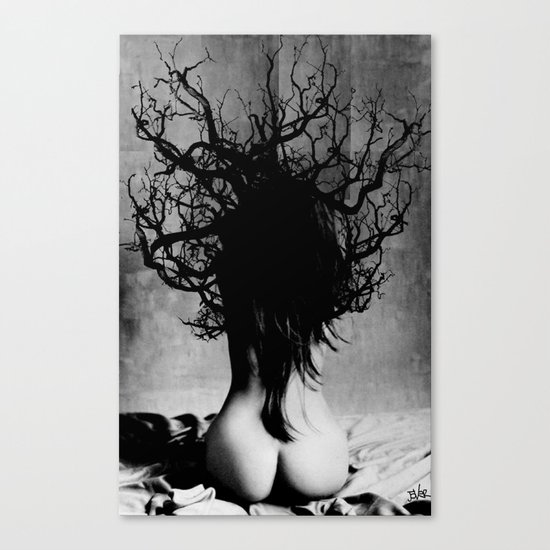 she oak Canvas Print