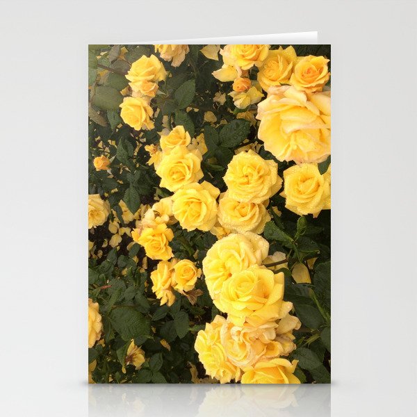 Sprinkles of Sunshine Roses Stationery Cards