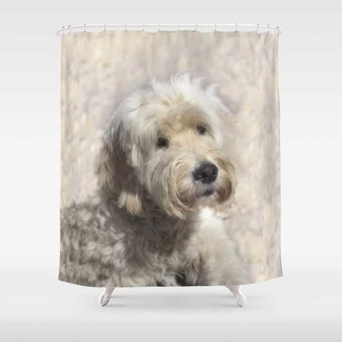 Dog Golden Doodle Shower Curtain