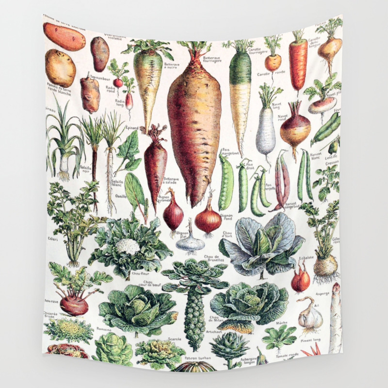 Root Vegetables Wall Hangings Tapesty Vintage Art Print Poster 