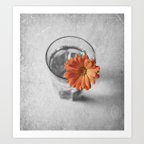 colourinisolation Art Print