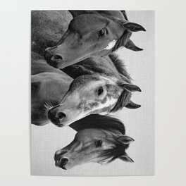 Horses - Black & White 3 Poster