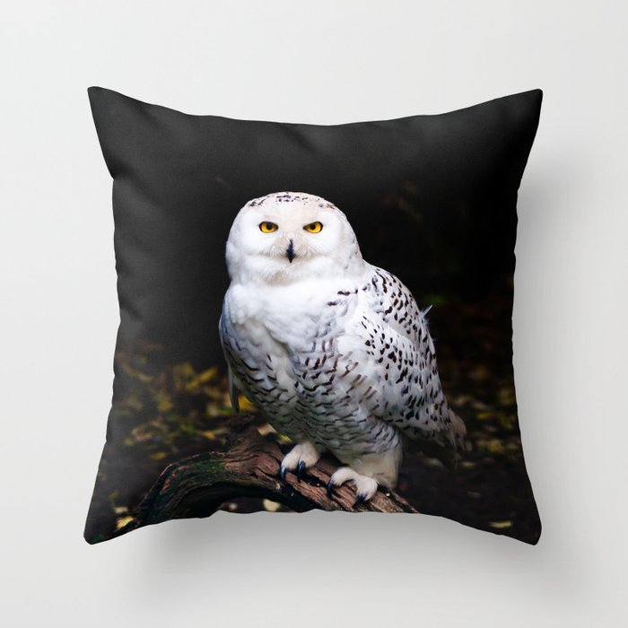Majestic winter snowy owl Throw Pillow