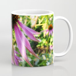 Echinacea purpurea - Purple coneflower in bloom Coffee Mug