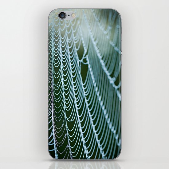 the web iPhone & iPod Skin