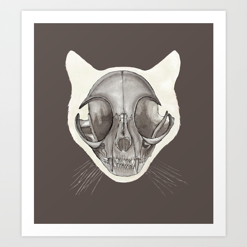 Cat Skull: Watercolor Animal Skeleton Anatomy Art Print by OssuariumFloreus  | Society6