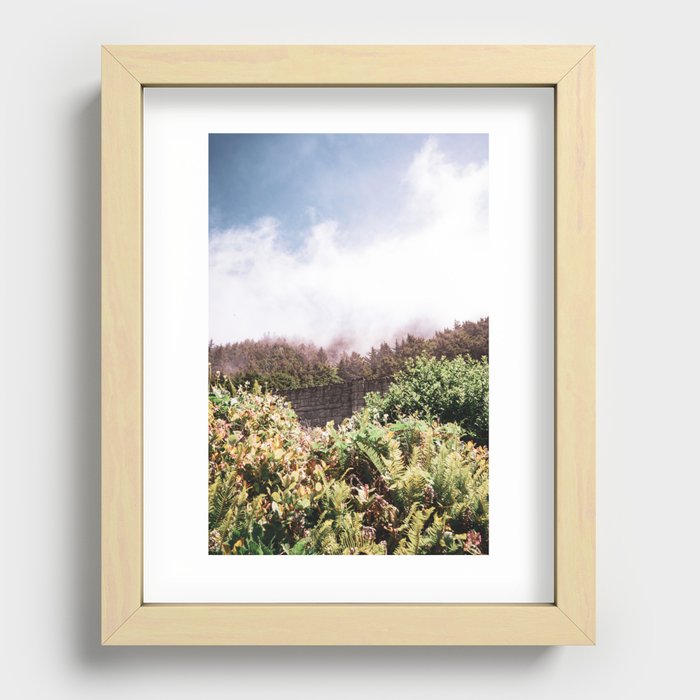 Coastal Fog and Forest | PNW Nature Photography Recessed Framed Print