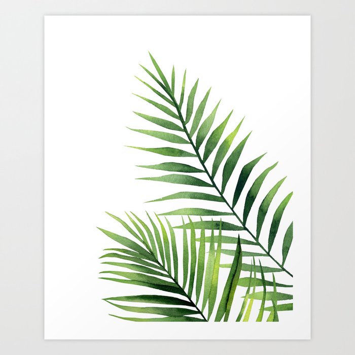 Discover the motif PALM LEAVES. by Art by ASolo as a print at TOPPOSTER
