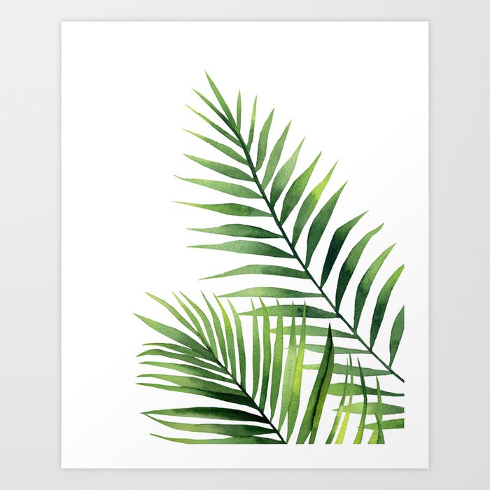 Palm leaves. Art Print by asolo | Society6