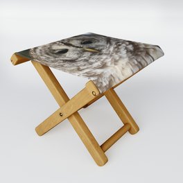 Barred owl Folding Stool