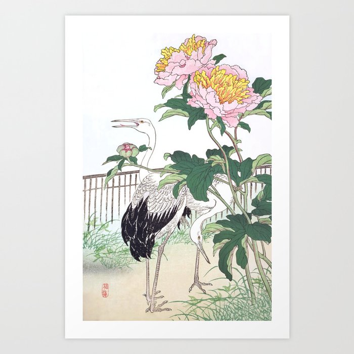 Kono Bairei - Two Cranes And Peony Flowers - Vintage Japanese Woodblock Print Art (1883) Art Print