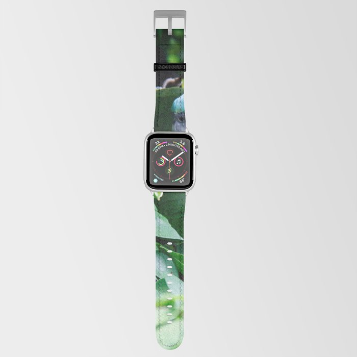 Brazil Photography - Green Parrot Camouflaged In The Green Leaves Apple Watch Band