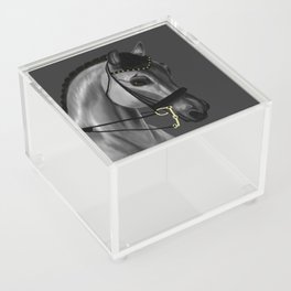 Beautiful Horse Acrylic Box