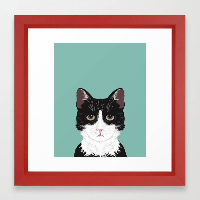 Quinn Cute Black And White Cat Tuxedo Cat Gifts For Cat Lady Gift Ideas Cell Phone Case With Cat Framed Art Print By Petfriendly Society6