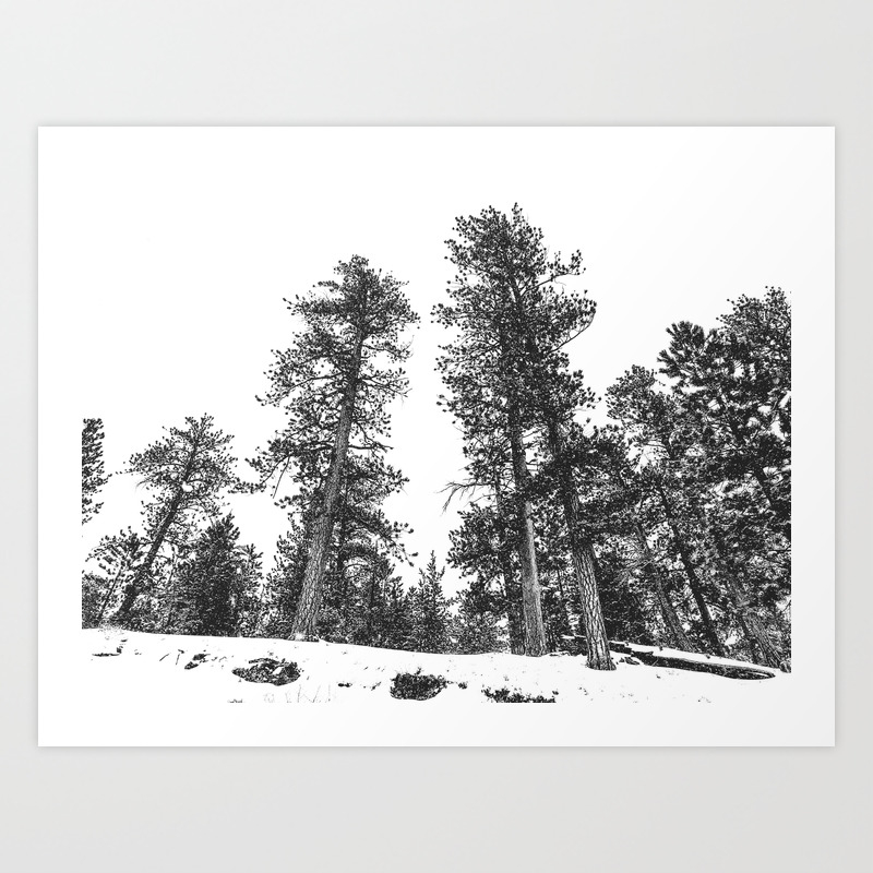 Snowscape Sky Winter Trees Black And White Landscape Snow Ski Snowboard Photography Art Print