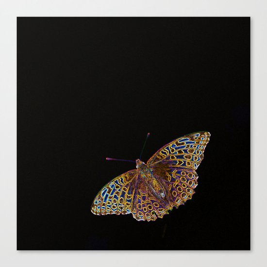 Butterfly on a black background Canvas Print