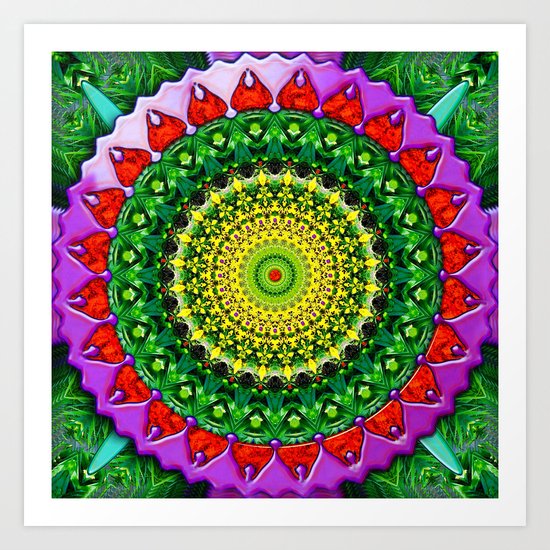 Floradora Art Print