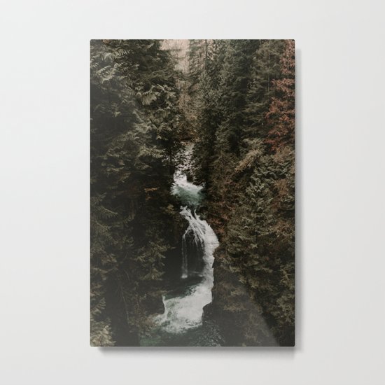 Forest Fall Metal Print