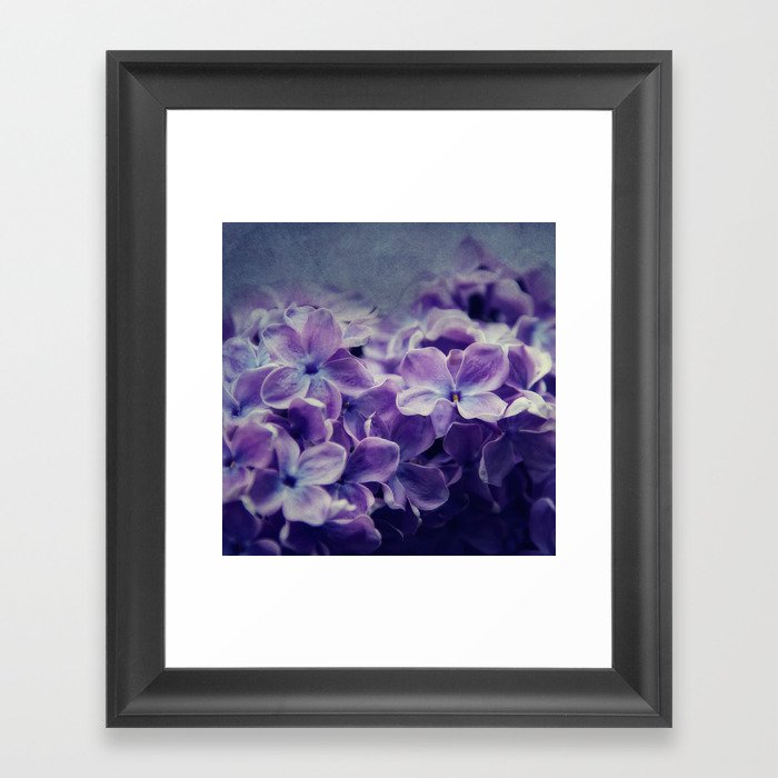 lilac Framed Art Print