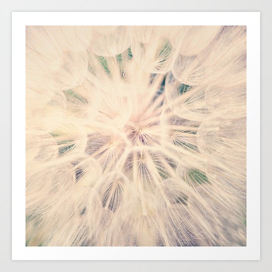 Macro Dandelion Art Print
