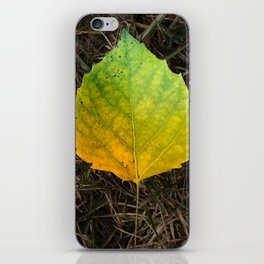 Autumn Glow iPhone Skin