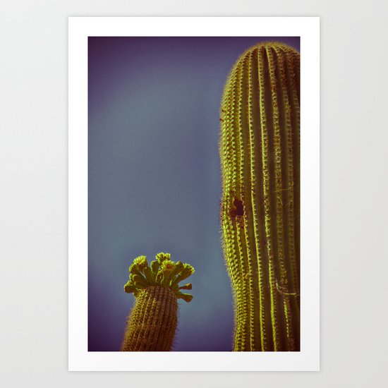 Saguaro in Bloom V2 Art Print