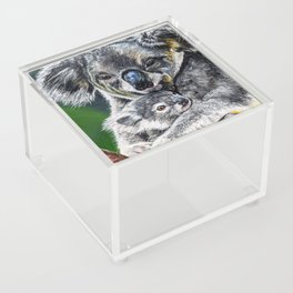 Koalas Acrylic Box