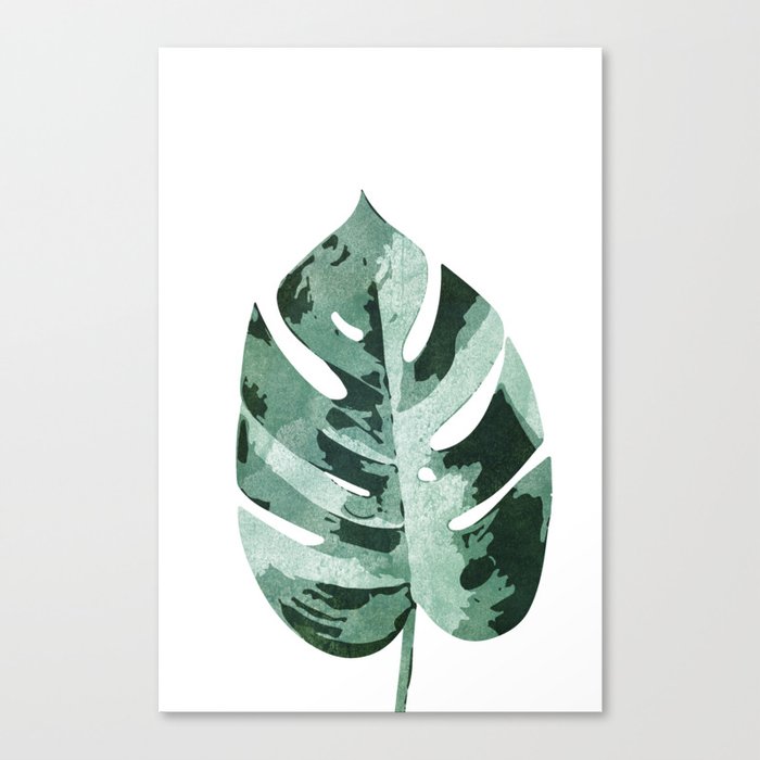 Philodendron Leaf Canvas Print