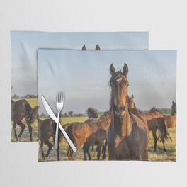 Wild horses in the sun | Horse photography Netherlands | Nature travel color animal photo print Placemat