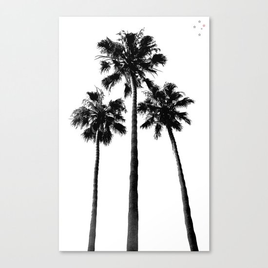 Palm Trees Three Canvas Print
