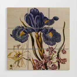 Antique blue English Iris, pink Delphinium, white Narcissus 1680   Wood Wall Art