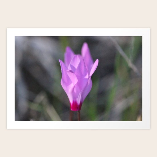 Purple Haze Art Print