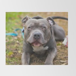 society6