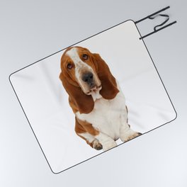 Beagle Basset Hound - Beagle Basset Hound Mix Picnic Blanket