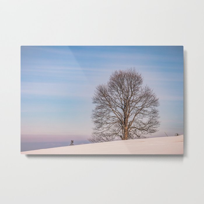 The lonely tree on a winter day Metal Print