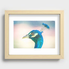 Peacock head coloured pencil look Recessed Framed Print