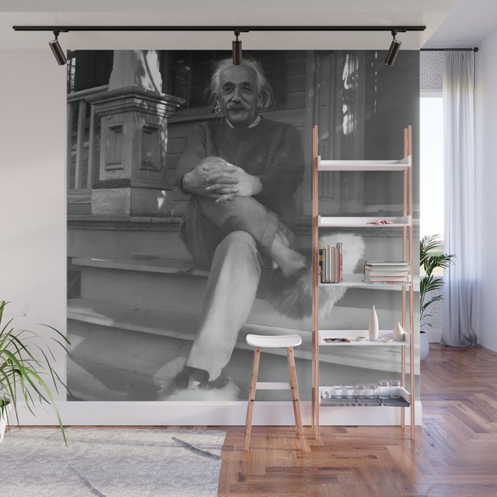Funny Einstein in Fuzzy Slippers Classic Black and White Satirical Photography - Photographs Wall Mural