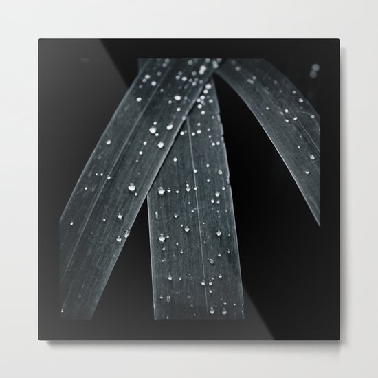 little pearls Metal Print