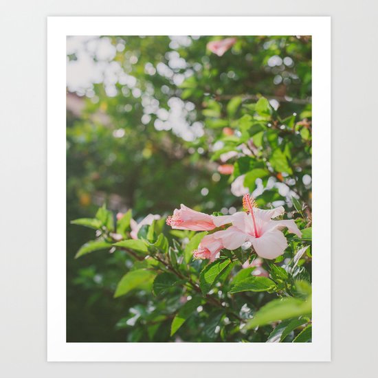 Bring me flowers Art Print
