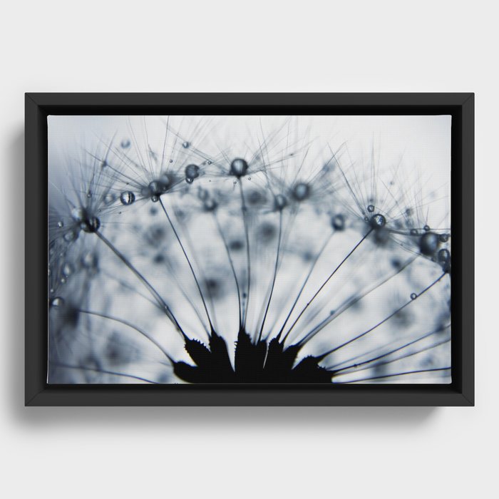 Dandelion Dark Blue Flower - Elegant Floral Framed Canvas