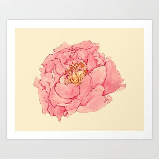 Vintage Peony Art Print