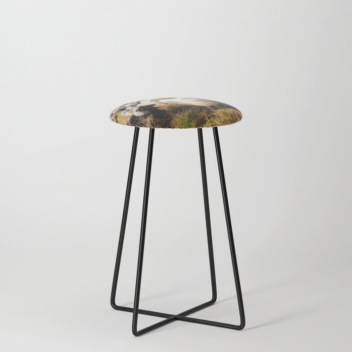 Flock Sheep 45 Counter Stool