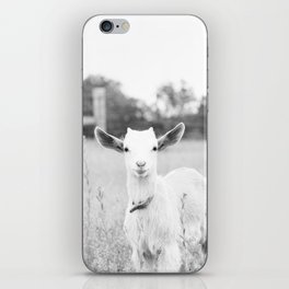 Angelic Baby Goat B&W iPhone Skin