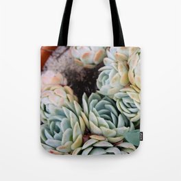 California Potted Succulents Tote Bag