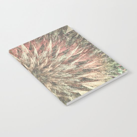 Meeting Mahadeva Notebook
