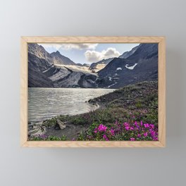 Alaskan Glacier Framed Mini Art Print