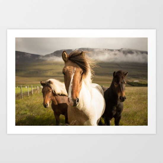 Three Amigos Art Print