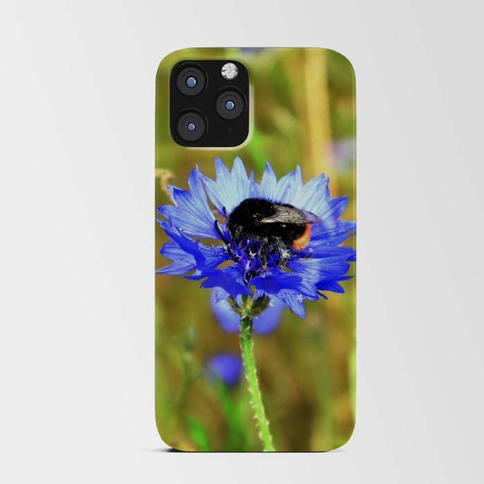 Bumblebee on Blue Cornflower iPhone Card Case